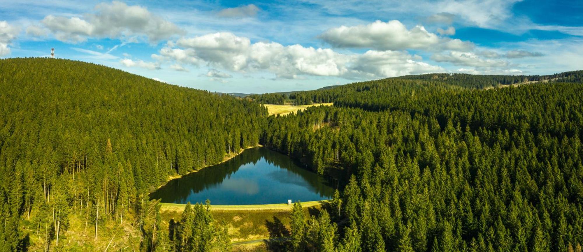 Modern & Vintage Bocksbergblick Ferienpark Hahnenklee Гослар Экстерьер фото