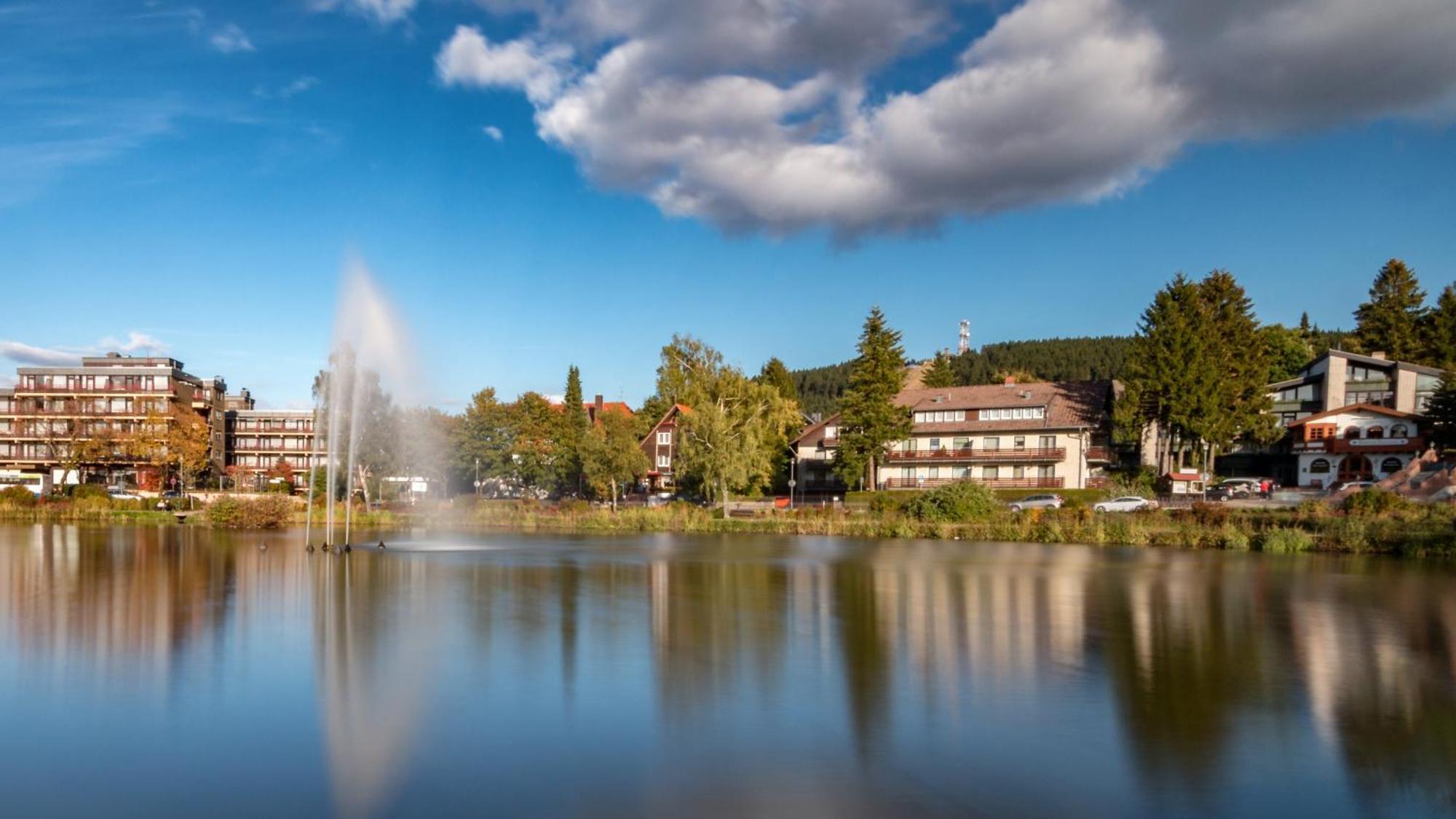 Modern & Vintage Bocksbergblick Ferienpark Hahnenklee Гослар Экстерьер фото